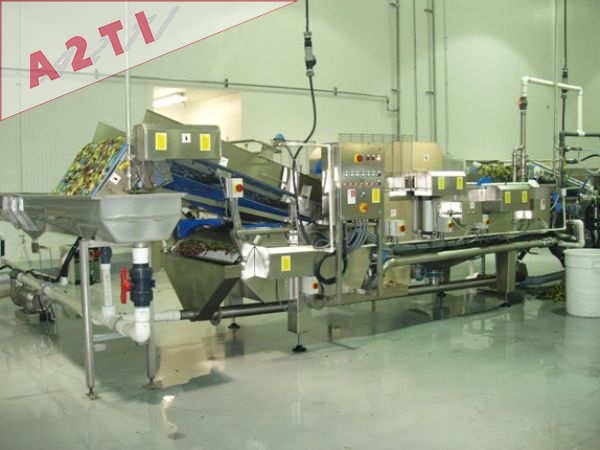 Laveurs / laveuses / débactérisation pour salades Laveurs / laveuses / débactérisation pour salades